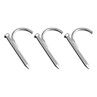 गुणवत्ता  High Hardness Galvanized Pipe Hook Nails Support Customization फैक्टरी